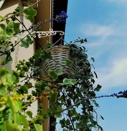 Il Cortile Apartment *
