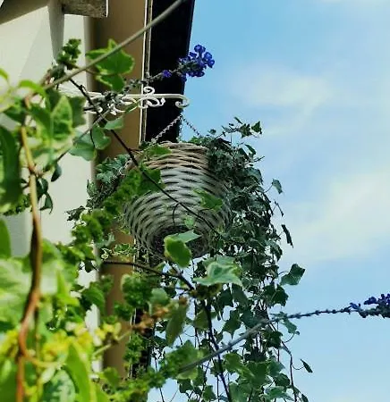 شقة Il Cortile كلوساني سول لاغو