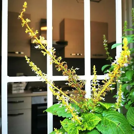 Apartmán Il Cortile *