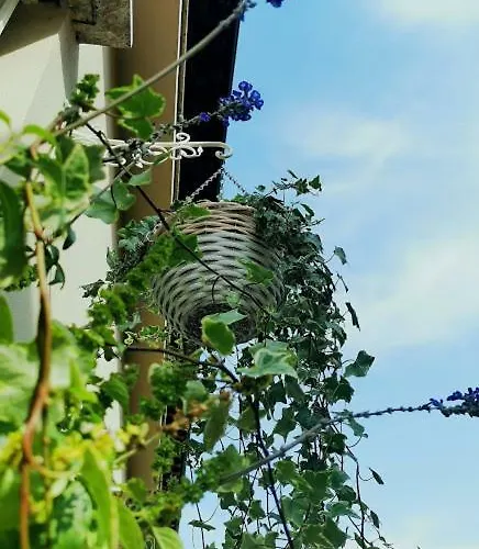 Apartament Il Cortile Clusane