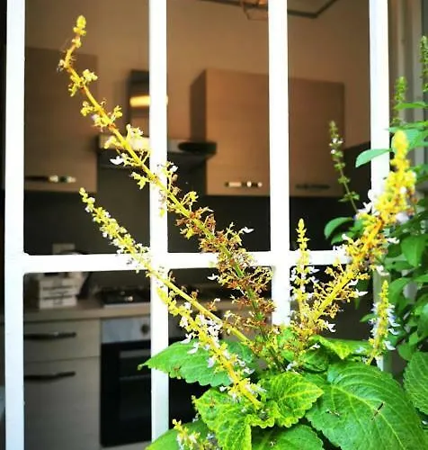 Apartament Il Cortile *